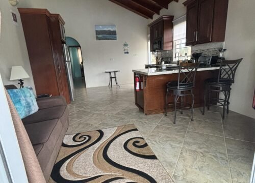 Jost van dyke villas