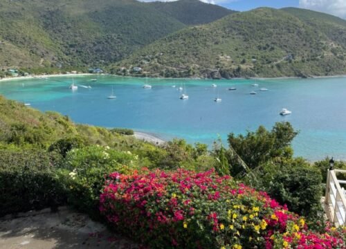Fruit trees tropical villa BVI