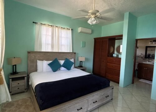 Air‑conditioned villas Jost Van Dyke